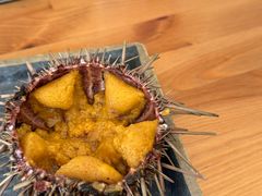 -海胆小馆(东北水饺·春柳店)