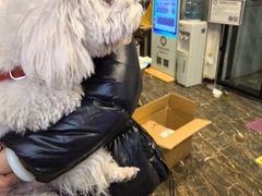 -宠爱国际动物医院·疑难骨科·心肾内科·皮肤科(太阳宫店)