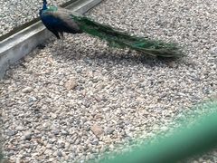 -南京金牛湖风景区