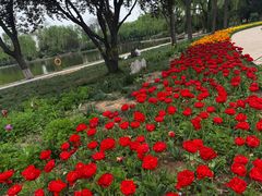 -石家庄市植物园