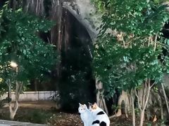 -光明港公园