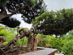 -泰州凤城河风景区-泰山公园