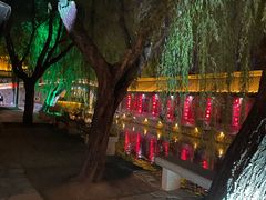 -湖光月色临湖音乐餐厅(台儿庄古城店)