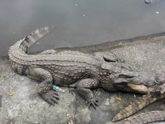 -三水森林公园