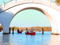 -上海海湾国家森林公园