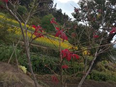 -塔川景区
