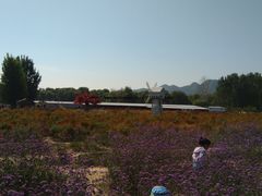 -北京东方普罗旺斯薰衣草庄园