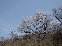 -伏羲山旅游区