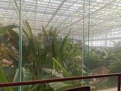 -金隅凤山酒店