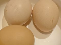 -袁老四重庆老火锅(桐梓坡店)