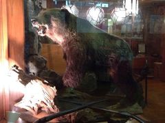 iphone_upload_pic-蟹料理 北海道かに将軍(札幌本店)