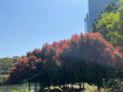 -白塘生态植物园