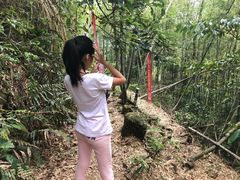 -鸡枕山