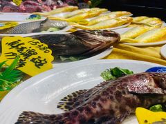 -驻海渔市(置信店)
