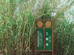 -泗洪洪泽湖湿地景区