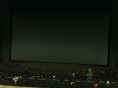 -天幕新彩云国际影城(激光巨幕店)