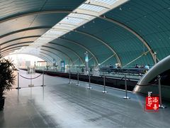 -龙阳路磁悬浮列车总站-停车场