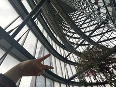 -上海之巅观光厅
