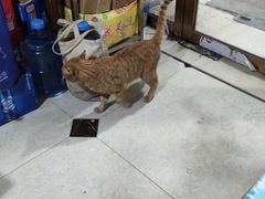 -谭记水煮总店