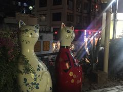 -猫咪博物馆(顶澳仔猫街店)