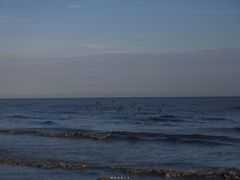 -南汇新城海滩
