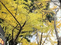 -小狗面馆·杭帮拌川·片儿川(大沽路店)