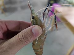 -光头佬钓虾场·烧烤·聚餐·亲子(金沙洲店)