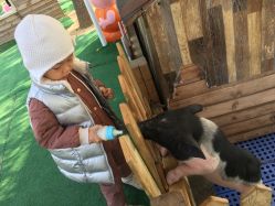 -萌宠亲子动物乐园(槐房万达店)