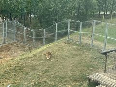 -青藏高原野生动物园