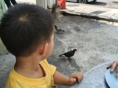 -多春茶室
