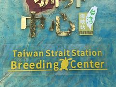 -广东惠东海龟国家级自然保护区
