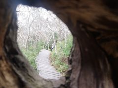 -白草畔自然风景区