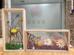 -敦南真爱月子会所(黄埔店)