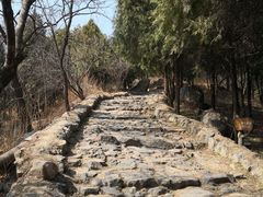 -阳台山自然风景区