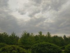 -沈阳师范大学-图书馆