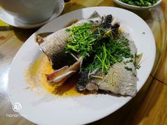 清蒸鲩鱼-长隆农庄