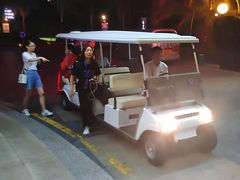 -圣爵菲斯大酒店(长沙世界之窗店)