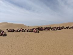 -银肯塔拉沙漠生态旅游景区