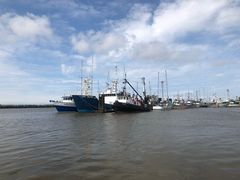 -Steveston Pizza Company (Richmond)