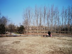 -东郊湿地公园