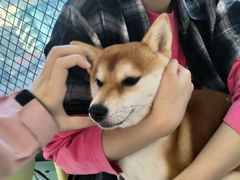 -怪兽屋·羊驼·猫咖·狗咖(俊华广场店)