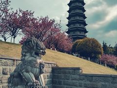 -重庆园博园