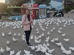 -泉城欧乐堡海洋极地世界