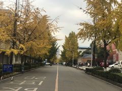 -四川大学(望江校区)