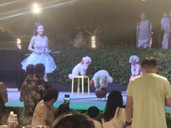-渔家火锅·海鲜自助餐·演艺(亚龙湾天域酒店)