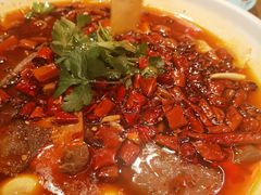 特色毛血旺-鸡毛店·川菜(双楠店)