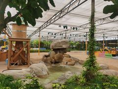 -南宫五洲植物乐园