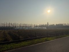 -上海长兴岛郊野公园