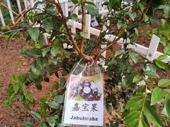 -井德幼儿园(新康花园店)