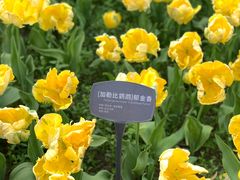 -国家植物园